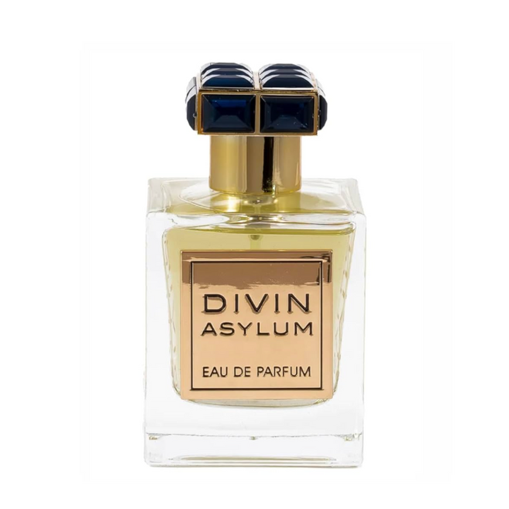 WF divin patvēruma smaržas ūdens vīriešiem 100 ml